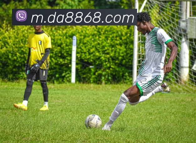 未来规划